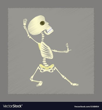 Flat shading style icon skeleton Halloween monster vector image