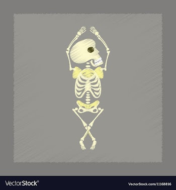 Flat shading style icon skeleton Halloween monster vector image