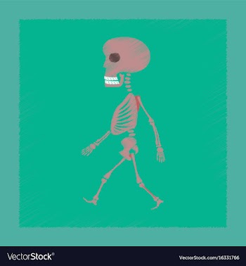 Flat shading style icon skeleton halloween monster vector image