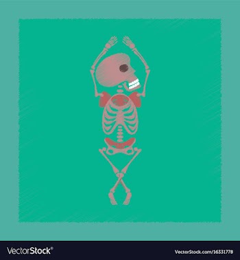 Flat shading style icon skeleton halloween monster vector image