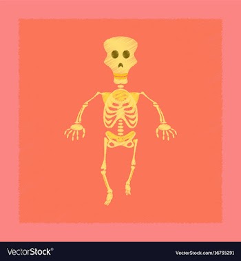 Flat shading style icon skeleton halloween monster vector image