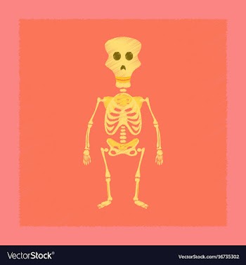 Flat shading style icon skeleton halloween monster vector image