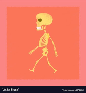 Flat shading style icon skeleton halloween monster vector image
