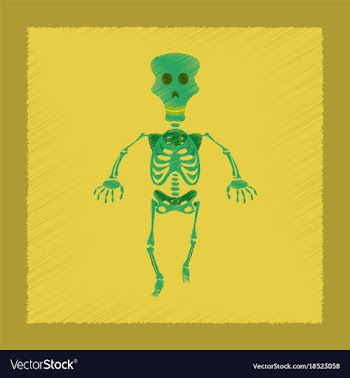 Flat shading style icon skeleton halloween monster vector image