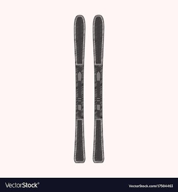 Flat shading style icon ski vector image