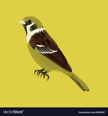 Flat shading style icon sparrow vector image