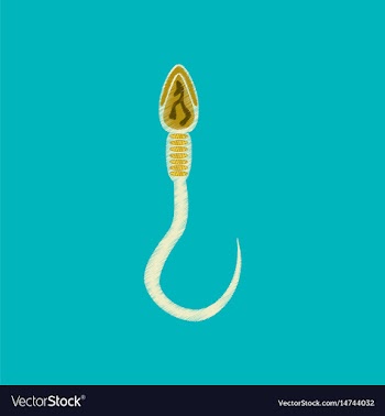 Flat shading style icon spermatozoon vector image