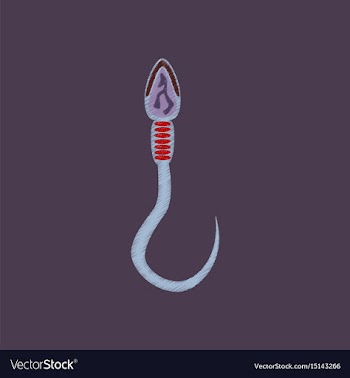 Flat shading style icon spermatozoon vector image