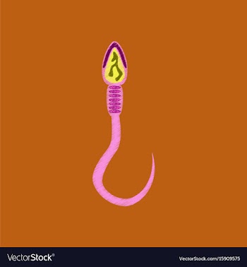 Flat shading style icon spermatozoon vector image