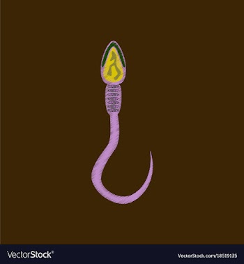 Flat shading style icon spermatozoon vector image