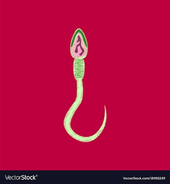 Flat shading style icon spermatozoon vector image