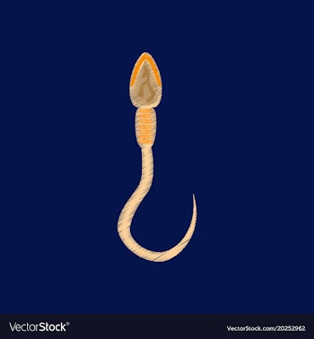 Flat shading style icon spermatozoon vector image