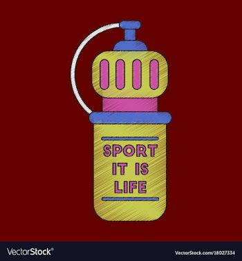 Flat shading style icon sports bottle vector image