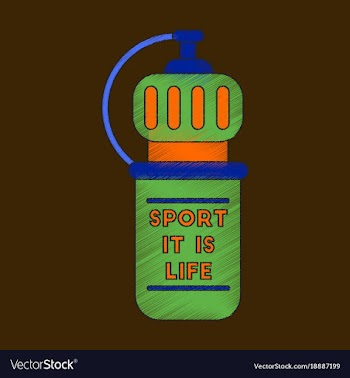 Flat shading style icon sports bottle vector image