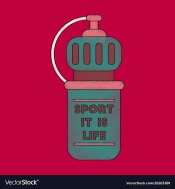 Flat shading style icon sports bottle vector image