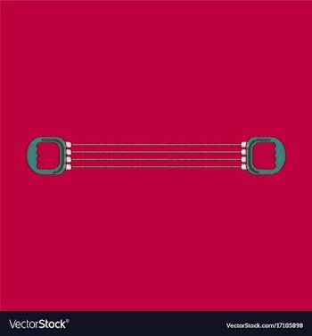 Flat shading style icon sports expander vector image