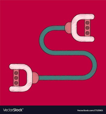 Flat shading style icon sports expander vector image