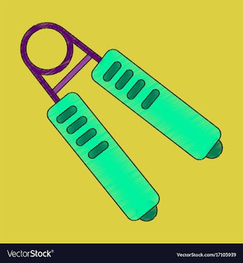 Flat shading style icon sports expander vector image
