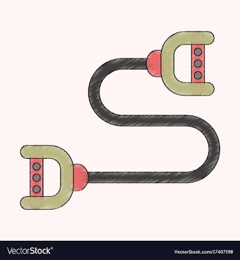 Flat shading style icon sports expander vector image