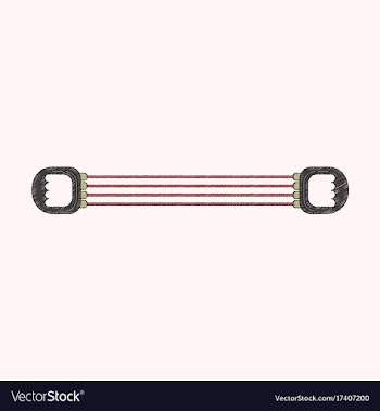 Flat shading style icon sports expander vector image