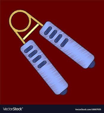 Flat shading style icon sports expander vector image