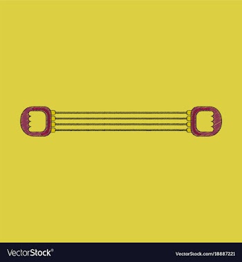 Flat shading style icon sports expander vector image