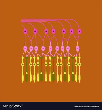 Flat shading style icon structure retina vector image