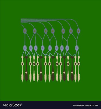 Flat shading style icon structure retina vector image