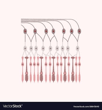 Flat shading style icon structure retina vector image