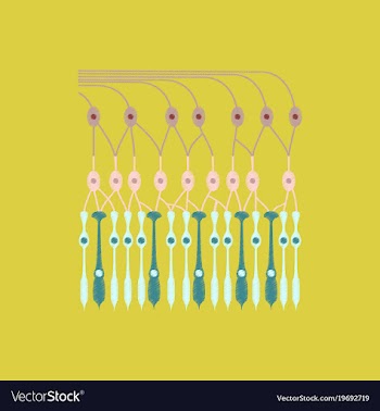 Flat shading style icon structure retina vector image