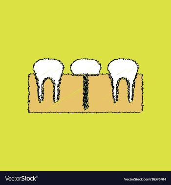 Flat shading style icon teeth and gum vector image