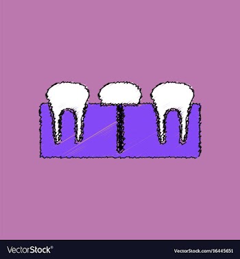 Flat shading style icon teeth and gum vector image
