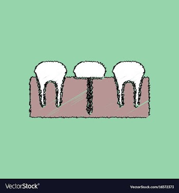 Flat shading style icon teeth and gum vector image