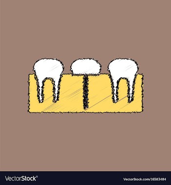 Flat shading style icon teeth and gum vector image