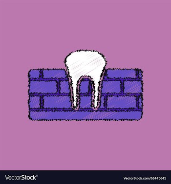 Flat shading style icon tooth and gum vector image