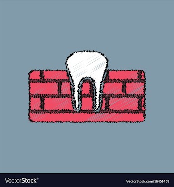 Flat shading style icon tooth and gum vector image