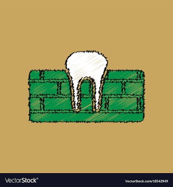 Flat shading style icon tooth and gum vector image