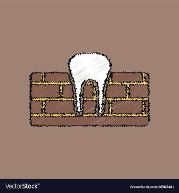 Flat shading style icon tooth and gum vector image