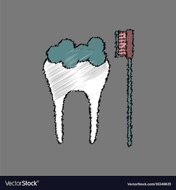 Flat shading style icon tooth and toothbrush vector image