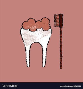 Flat shading style icon tooth and toothbrush vector image