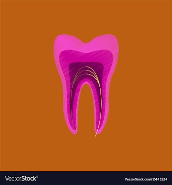 Flat shading style icon tooth vector image