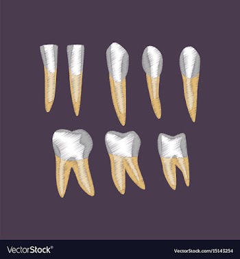 Flat shading style icon tooth vector image