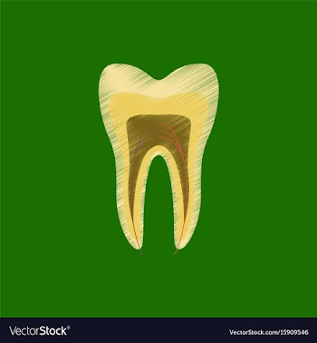 Flat shading style icon tooth vector image