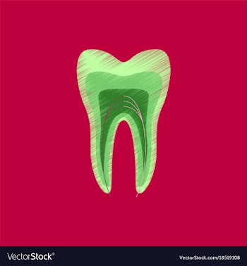 Flat shading style icon tooth vector image