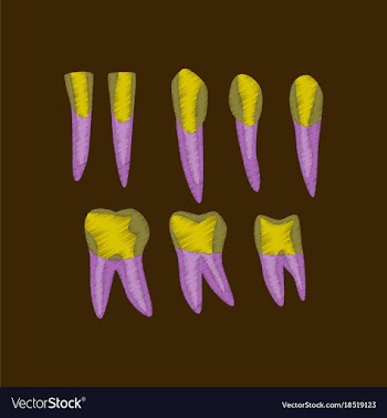 Flat shading style icon tooth vector image