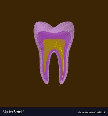 Flat shading style icon tooth vector image