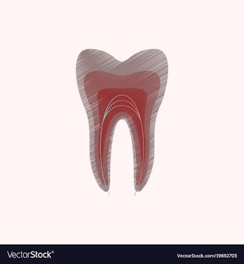 Flat shading style icon tooth vector image