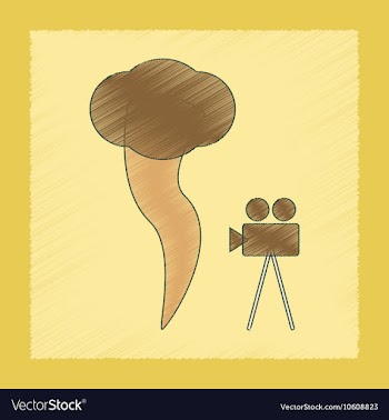 Flat shading style icon tornado camera vector image