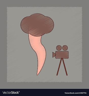 Flat shading style icon tornado camera vector image