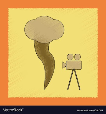 Flat shading style icon tornado camera vector image